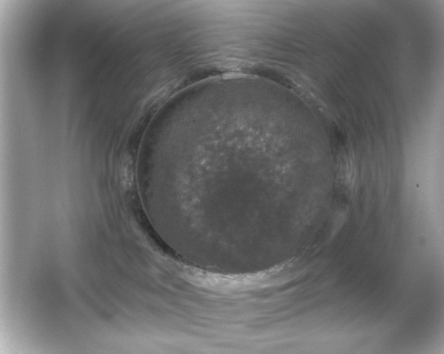 X0000066490043200603201308