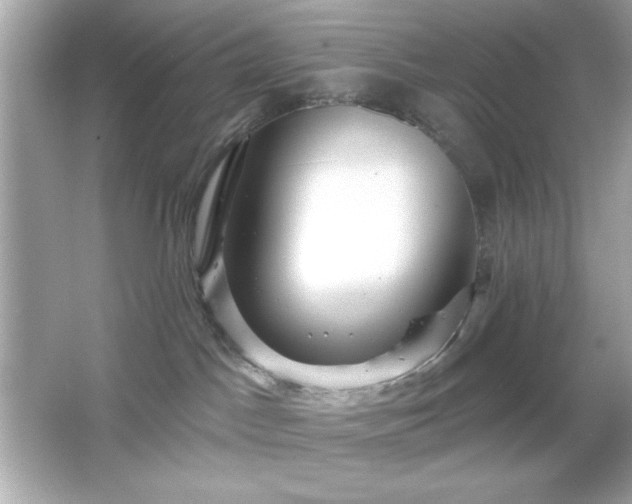 X0000066490045200603201308