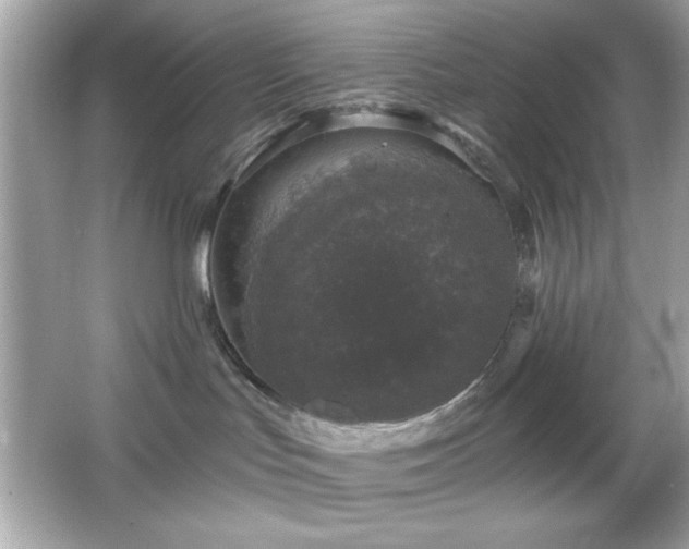 X0000066490047200603201308