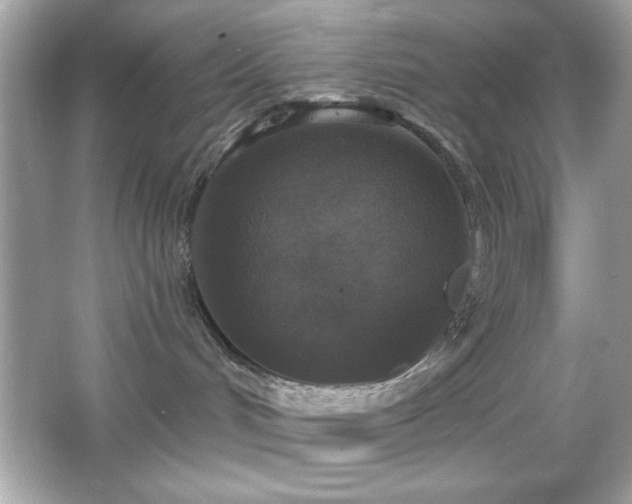 X0000066490048200603201308