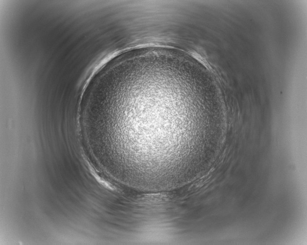 X0000066490050200603201307
