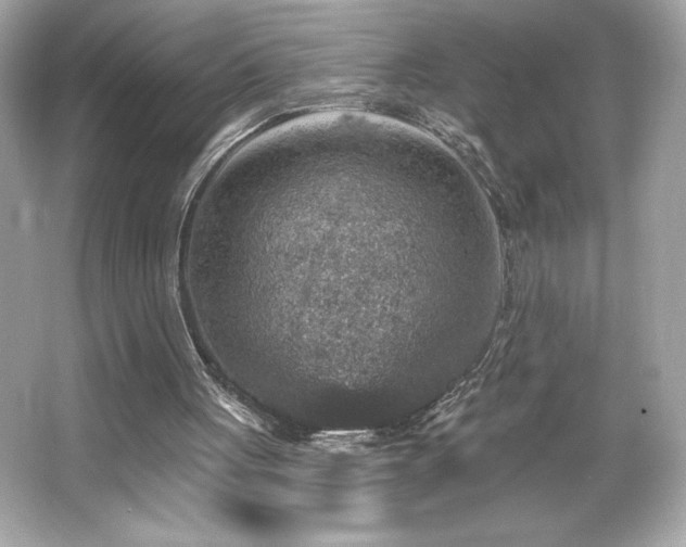 X0000066490051200603201307