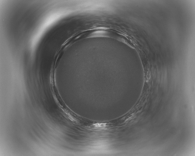 X0000066490052200603201307