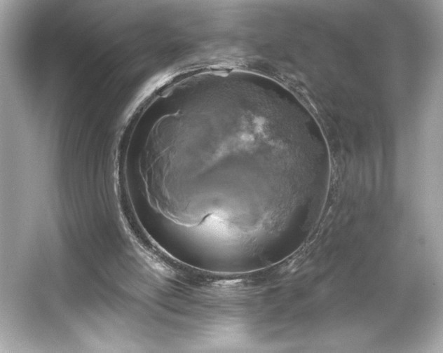 X0000066490054200603201307