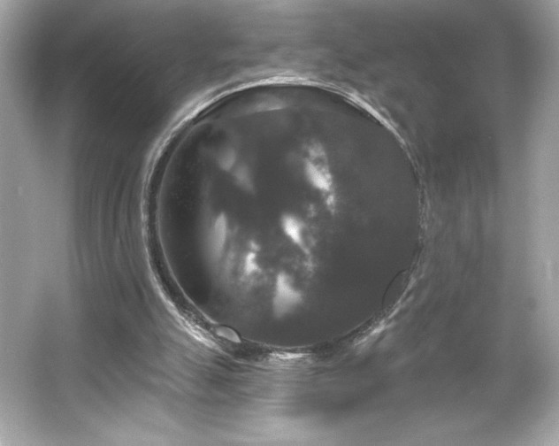 X0000066490055200603201307