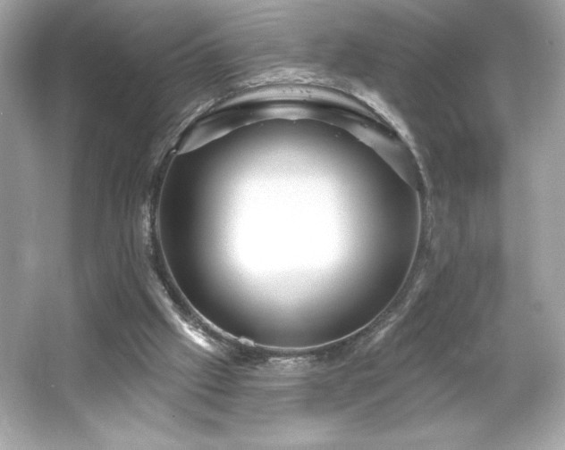 X0000066490057200603201307