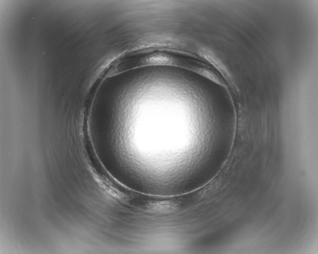 X0000066490058200603201307