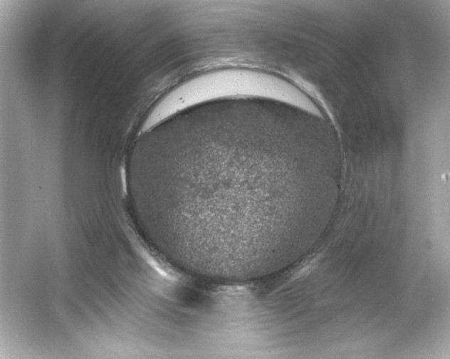 X0000066490061200603201308