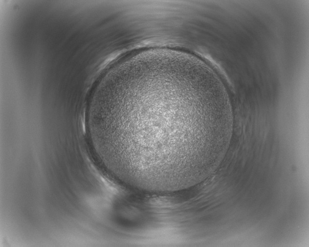 X0000066490062200603201308