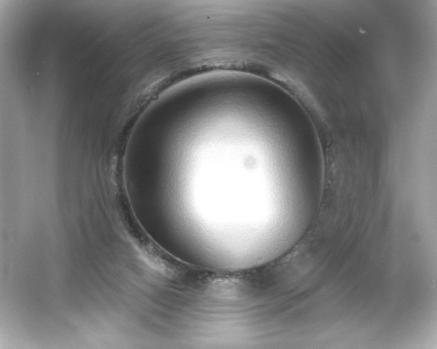 X0000066490066200603201308