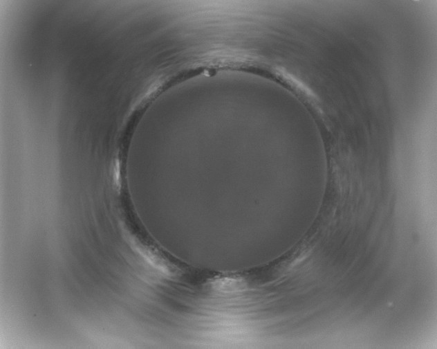 X0000066490067200603201308