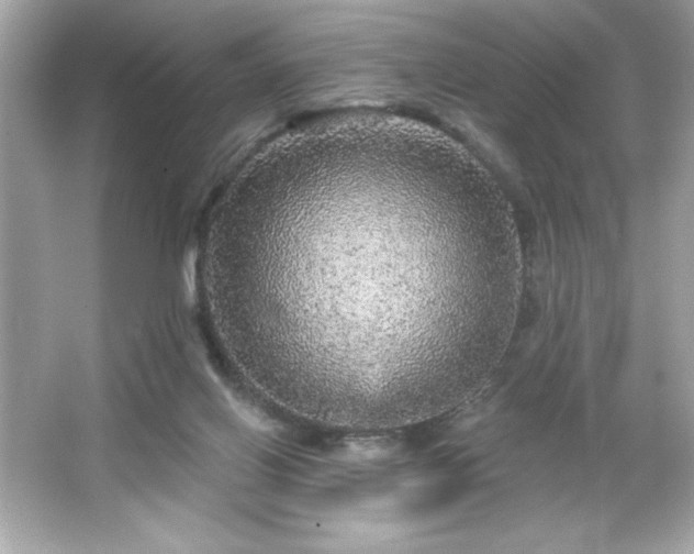 X0000066490070200603201308