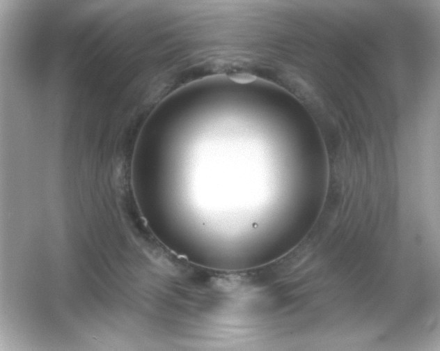 X0000066490079200603201308