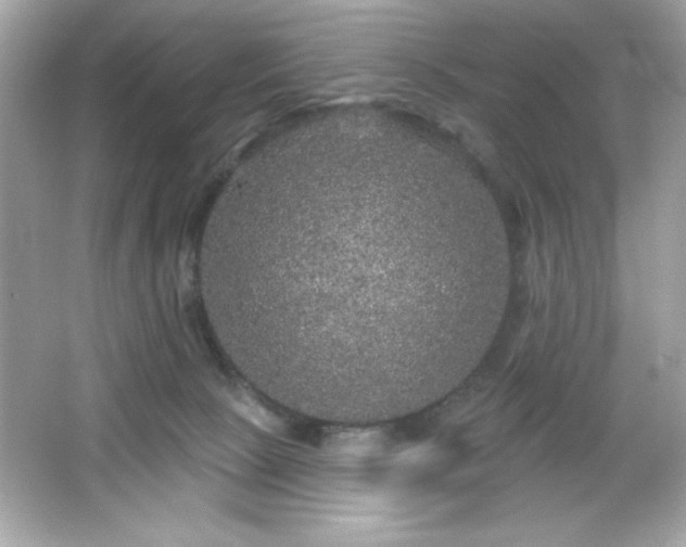 X0000066490081200603201308