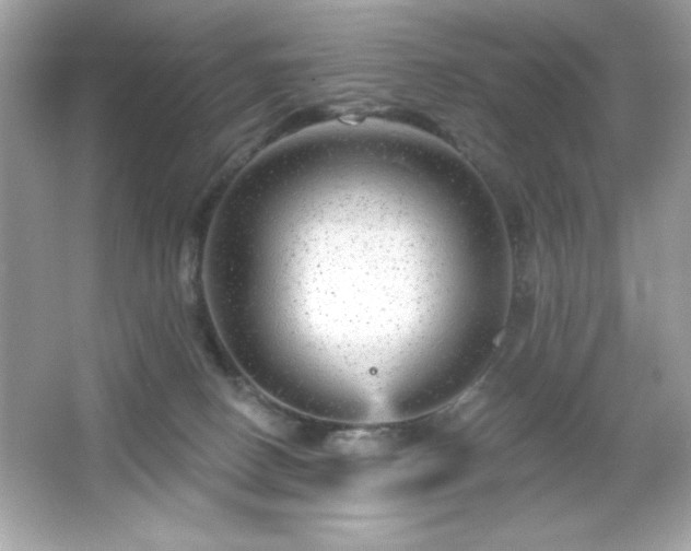 X0000066490082200603201308