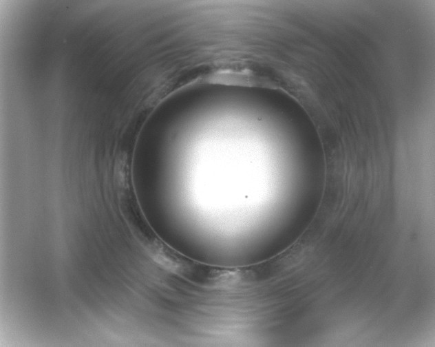 X0000066490083200603201308