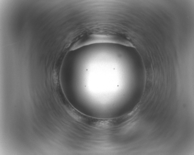 X0000066490086200603201308