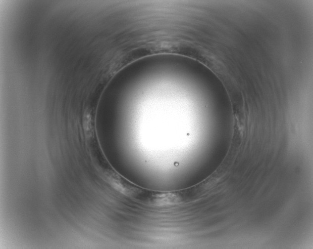 X0000066490087200603201308