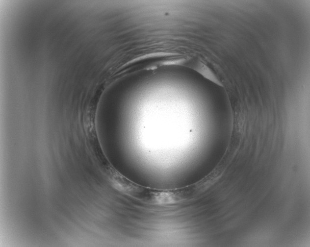X0000066490091200603201308