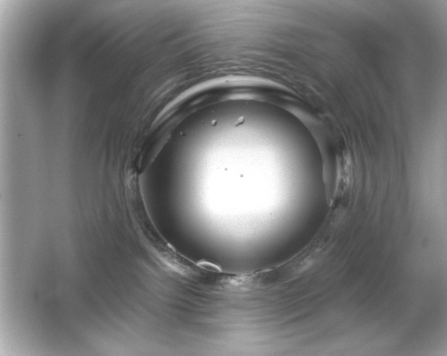 X0000066490092200603201308