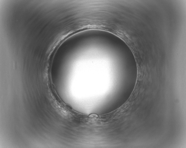 X0000066490098200603201307