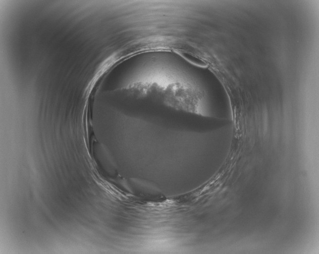 X0000066490099200603201307