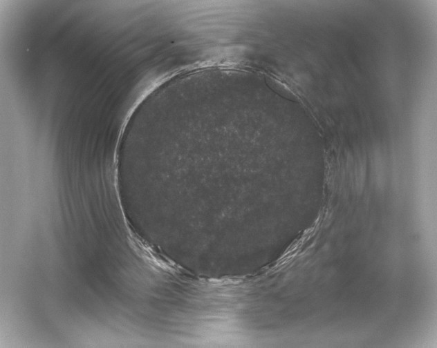 X0000066490100200603201307