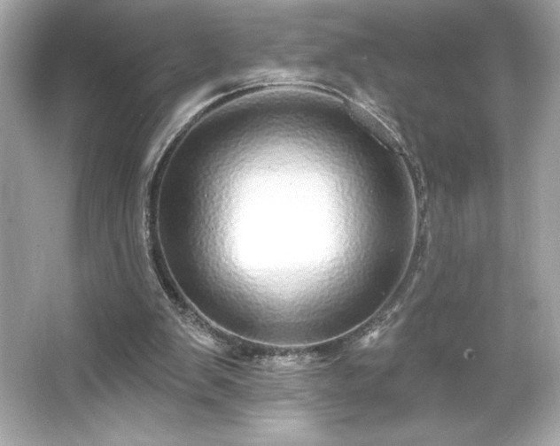 X0000066490103200603201307