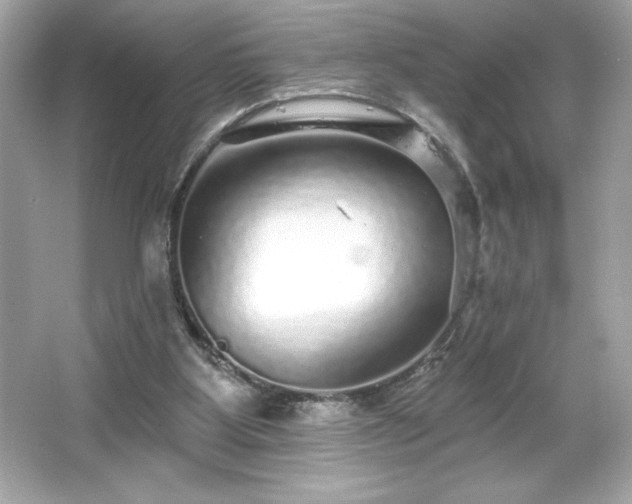 X0000066490107200603201307