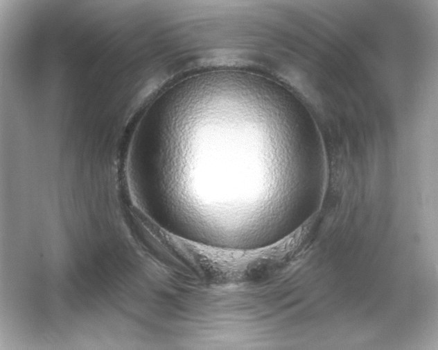 X0000066490111200603201307
