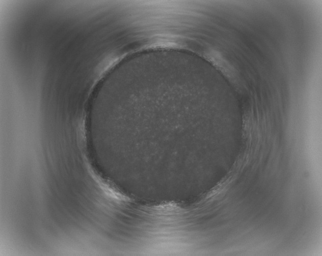 X0000066490112200603201307