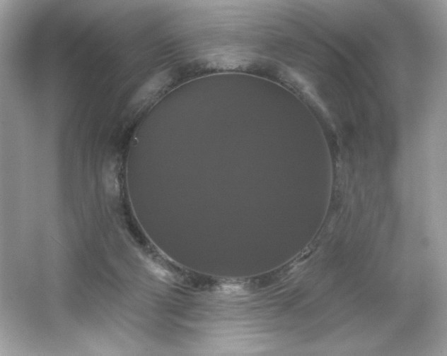 X0000066490114200603201307