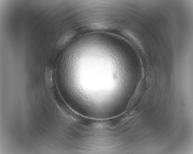 X0000066490115200603201307
