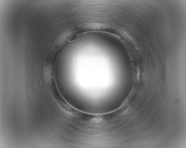 X0000066490119200603201307