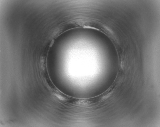 X0000066490121200603201307