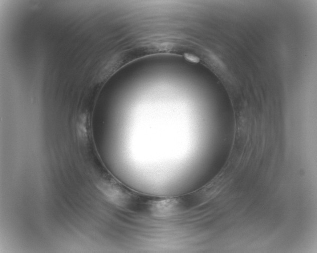 X0000066490122200603201307