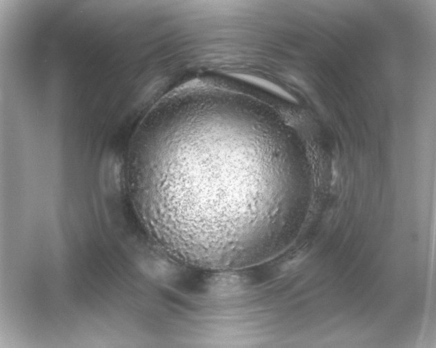 X0000066490123200603201307