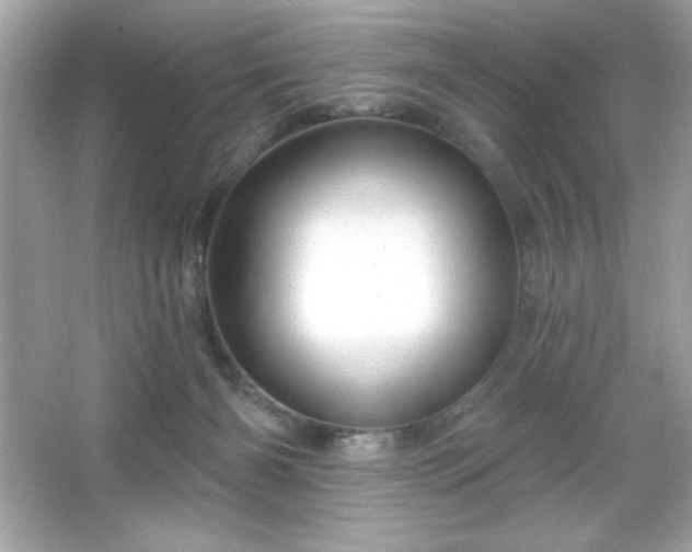 X0000066490126200603201307