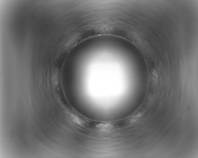 X0000066490133200603201307