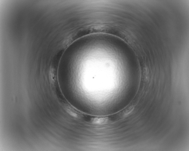 X0000066490135200603201307