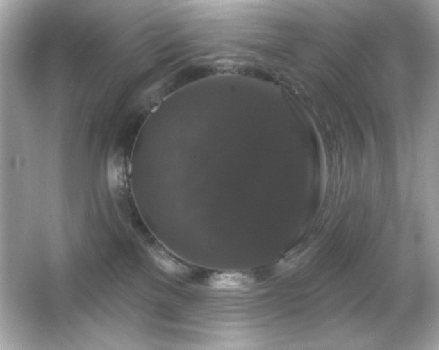 X0000066490137200603201307