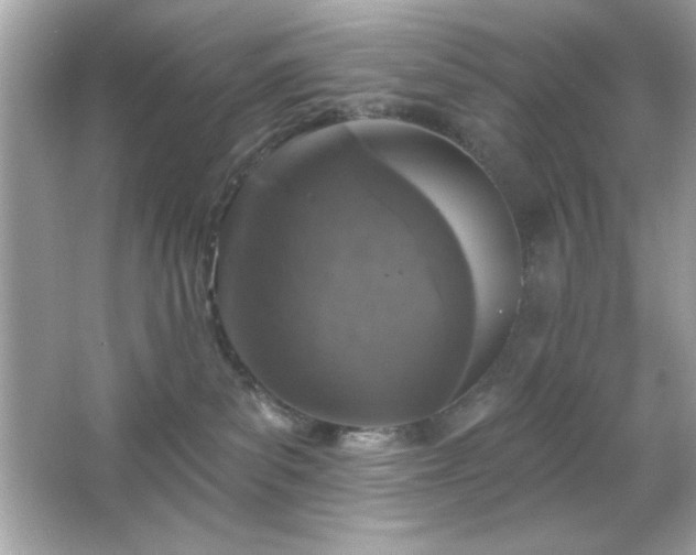 X0000066490139200603201307