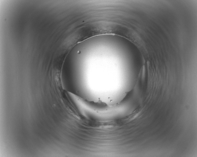 X0000066490141200603201307