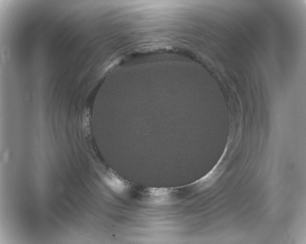 X0000066490144200603201307