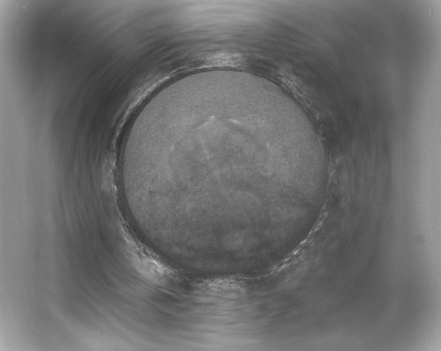 X0000066490146200603201306