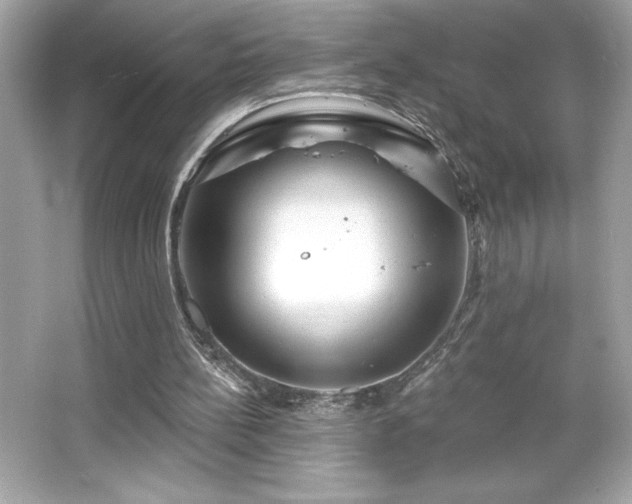 X0000066490148200603201306