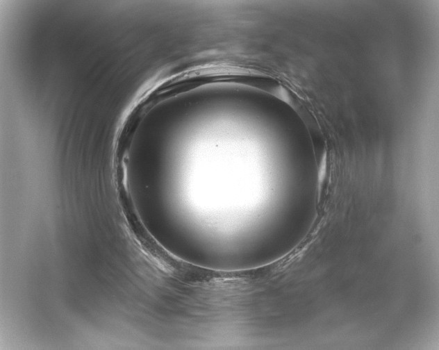 X0000066490150200603201306