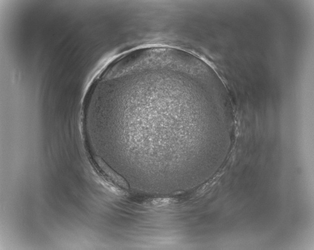 X0000066490152200603201306
