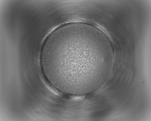 X0000066490155200603201306