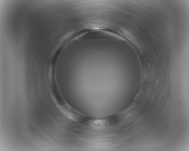 X0000066490163200603201306